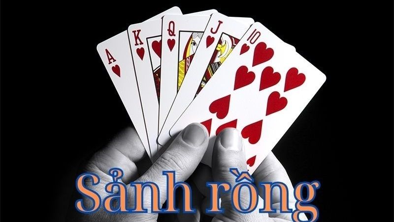 Giới thiệu về sảnh Rồng