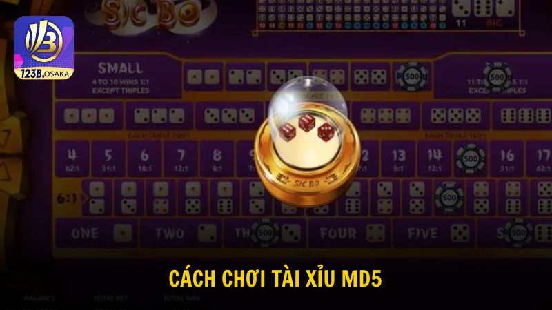 Khám phá thông tin về cách chơi tài xỉu MD5