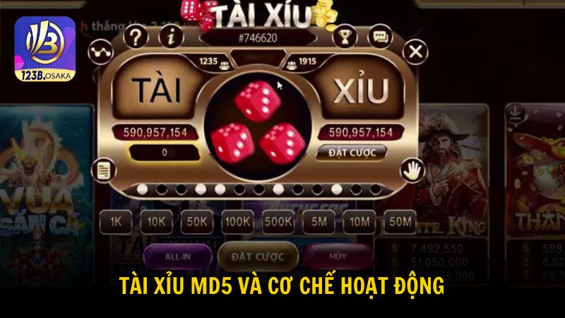 Khám phá về cơ chế hoạt động của game tài xỉu thuật toán MD5