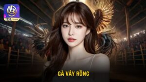 Gà vảy rồng chiến kê huyền thoại trong giới đá gà Việt