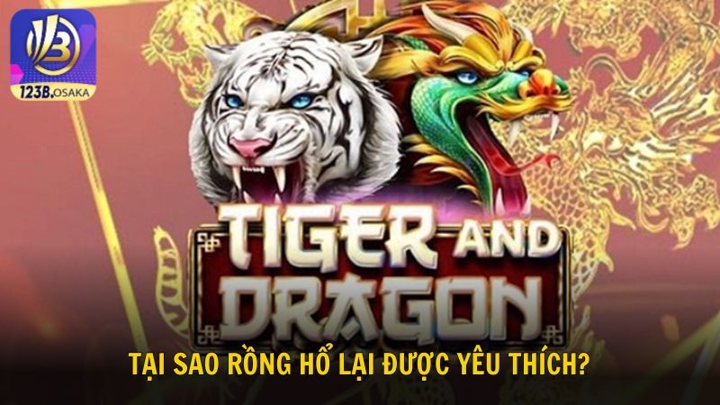 Tại sao Rồng Hổ lại được yêu thích?