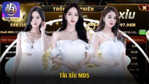 Cách chơi tài xỉu MD5 và mẹo thắng lớn cho thành viên