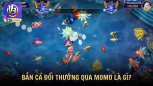Bắn cá đổi thưởng qua Momo là gì?