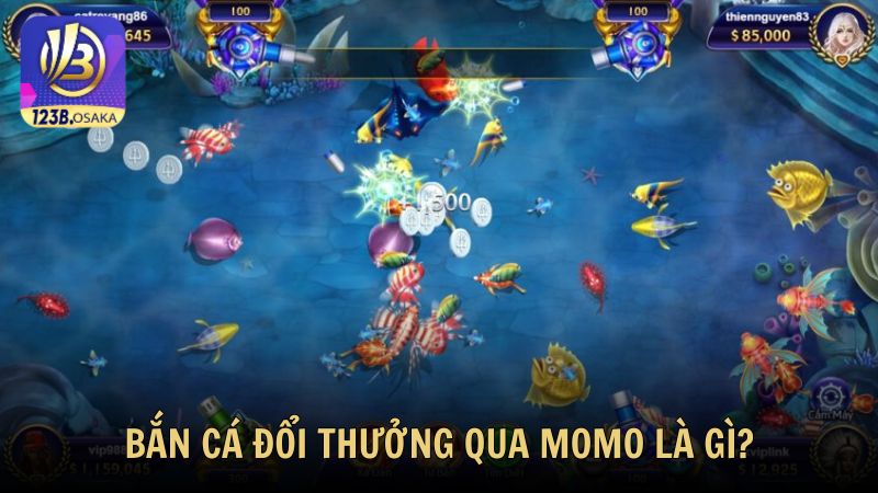 Bắn cá đổi thưởng qua Momo là gì?