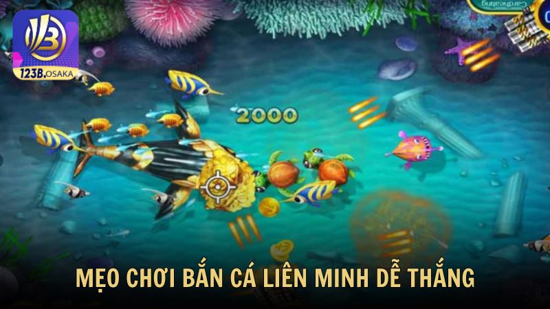 Mẹo chơi bắn cá liên minh đổi thưởng dễ thắng, lời nhanh