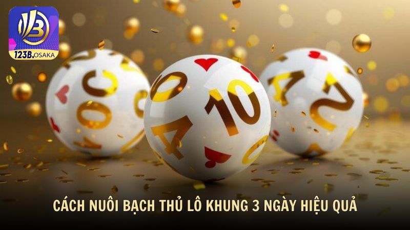Cách nuôi bạch thủ lô khung 3 ngày hiệu quả từ cao thủ 123B