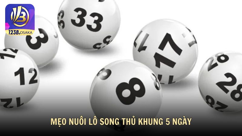 Mẹo nuôi lô song thủ khung 5 ngày từ cao thủ 123B