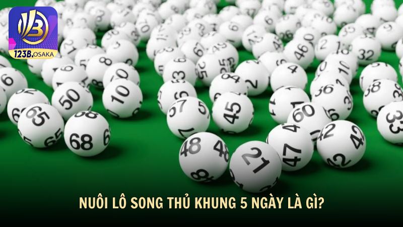 Nuôi lô song thủ khung 5 ngày là gì?