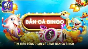 Tìm hiểu tổng quan về game bắn cá Bingo