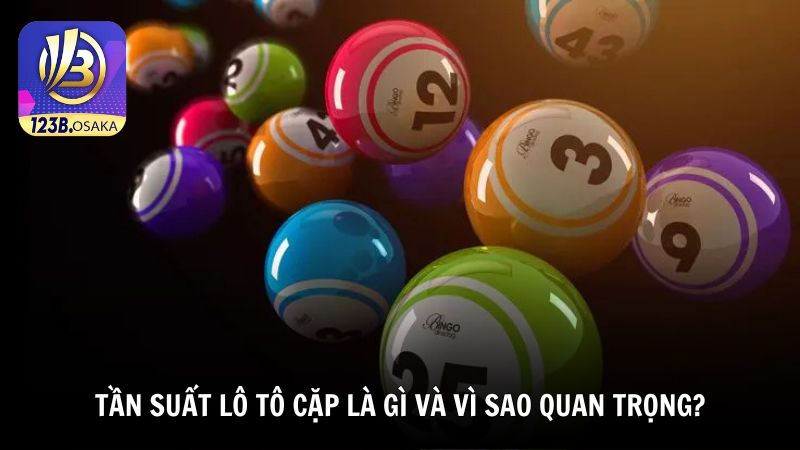 Tần suất lô tô cặp là gì và vì sao quan trọng?