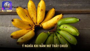 Ý nghĩa khi nằm mơ thấy chuối