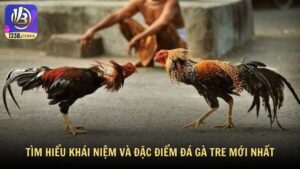 Tìm hiểu khái niệm và đặc điểm đá gà tre mới nhất