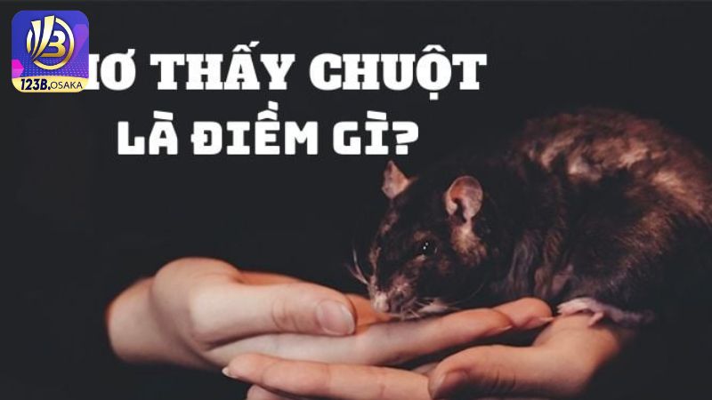 Cùng 123B giải mã từng trường hợp mơ thấy chuột