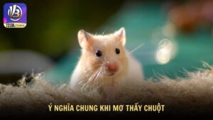 Ý nghĩa chung khi mơ thấy chuột