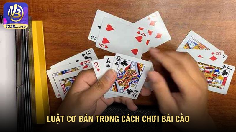 Luật Cơ Bản Trong Cách Chơi Bài Cào